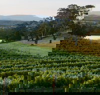Granite Hills Winery - ACT Tourism
