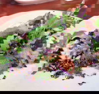 YaYa Bar and Eatery - ACT Tourism