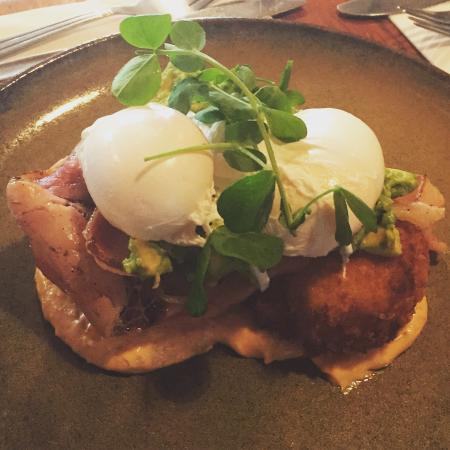 A Fan's Notes - ACT Tourism 0