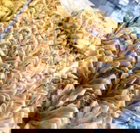 Hawat Pastry - ACT Tourism