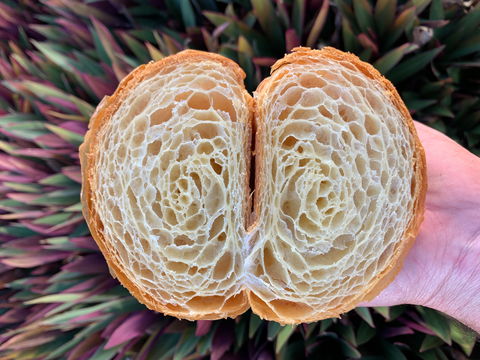 La Bouche - ACT Tourism 0