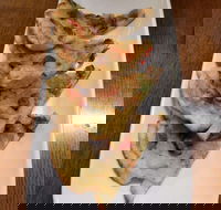 Phill Bean - ACT Tourism