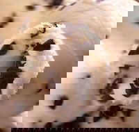 Royal Copenhagen Ice Cream - Glebe - ACT Tourism