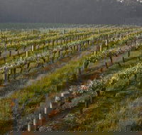 Cape Grace Wines - ACT Tourism