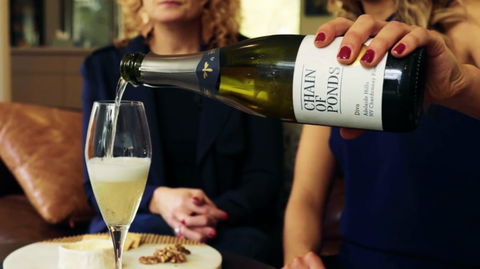 Adelaide Hills-Billies Cheese & Wine Tasting - ACT Tourism 2