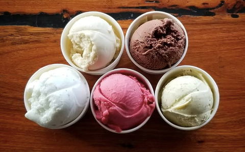 Bellingen Gelato - ACT Tourism 0