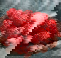 Christmas Hills Raspberry Farm Cafe - ACT Tourism