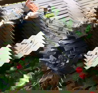 Hill of Promise Winery and Cellar Door - ACT Tourism