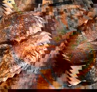 Mr Espresso - Ramsgate - ACT Tourism