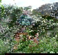 The Cidery - ACT Tourism