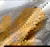 Captain Roxburg Fish  Chips - ACT Tourism