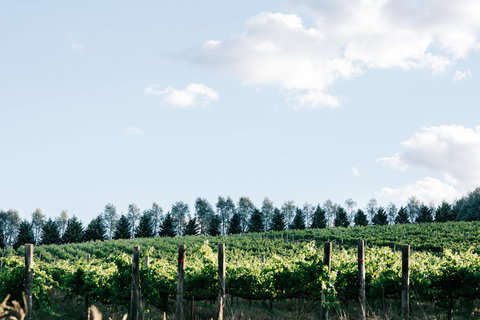 Passing Clouds - ACT Tourism 1