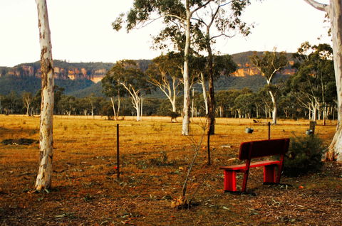 The Megalong Valley Tearooms - ACT Tourism 0