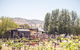Thistle Hill Wines - thumb 0