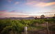 Thistle Hill Wines - thumb 2