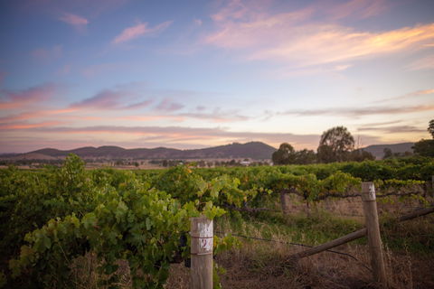 Thistle Hill Wines - ACT Tourism 2