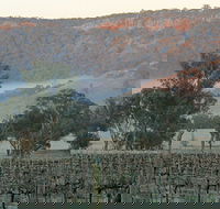 Wilksch Estate Wines - ACT Tourism