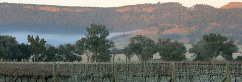 Wilksch Estate Wines - ACT Tourism 0