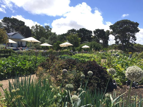 Basils Farm - ACT Tourism 2