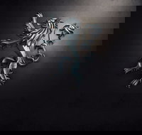 PJ O'Reilly's Irish Pub - ACT Tourism