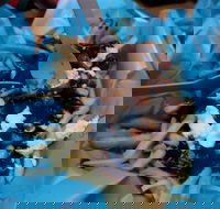 Two Hands Bar - ACT Tourism