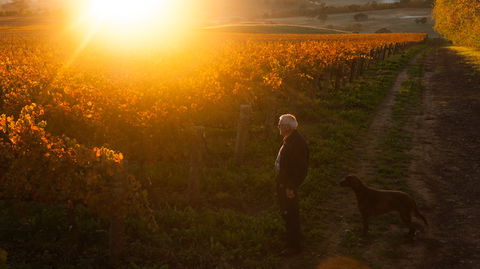 HOOSEGG Cellar Door - ACT Tourism 0