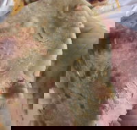 Zaika Tandoor - ACT Tourism