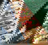 Balter Brewing Company - ACT Tourism