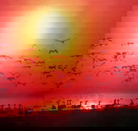 Barra Cafe on Riverview - ACT Tourism