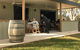 Barham Vines - thumb 1
