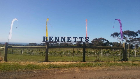 Bennetts On Bellarine Winery - ACT Tourism 1