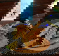 Cocina Mexican Grill and Cantina - ACT Tourism