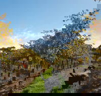 Ruddenklau Wines - ACT Tourism