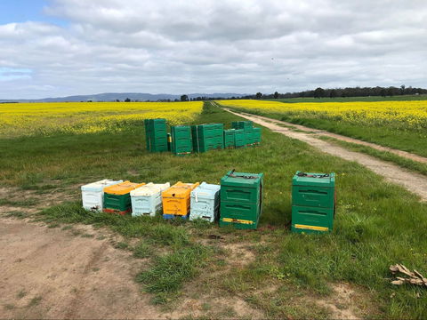 The Basin Backyard - ACT Tourism 0