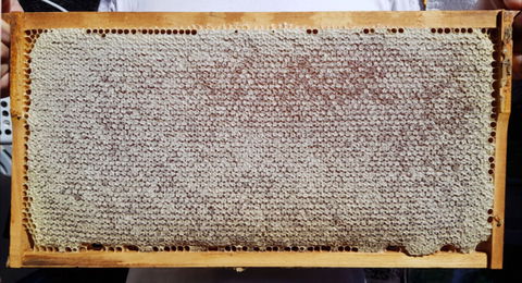 The Basin Backyard - ACT Tourism 1