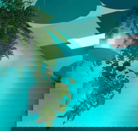 Upsy Daisy - ACT Tourism