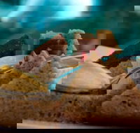 La Cantina - St Leonards - ACT Tourism