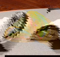 Wrap N Roll - Helensvale - ACT Tourism