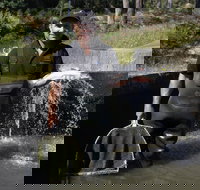 41 Degrees South Tasmania - ACT Tourism