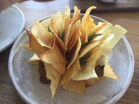 Fleet - ACT Tourism 0