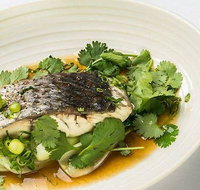 The Mossy Cafe - ACT Tourism