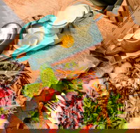 Salisbury Bakery - ACT Tourism