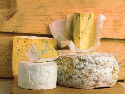 Cheese Shop At Makers' Workshop Burnie - The - ACT Tourism 1