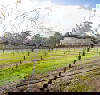 Long Point Vineyard and Art Gallery - ACT Tourism