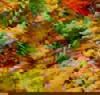 Caroline Thai Restaurant - ACT Tourism