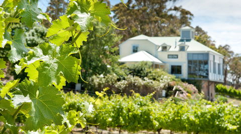 Hahndorf Hill Winery - ACT Tourism 2