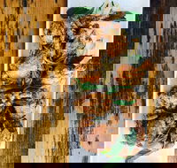 The River Hotel - ACT Tourism