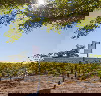 Hayes Family Wines - ACT Tourism