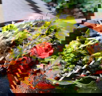 The Berry Farm Cottage Caf - ACT Tourism