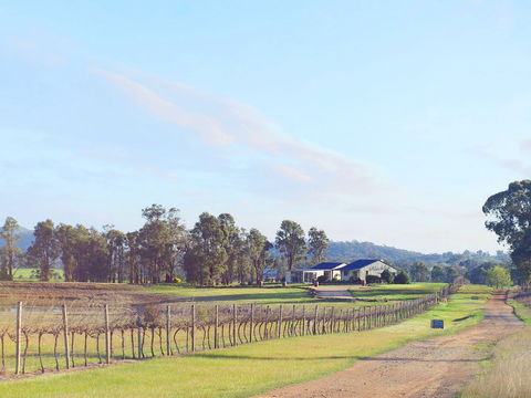 Blacklea Vineyard And Olive Grove - ACT Tourism 0